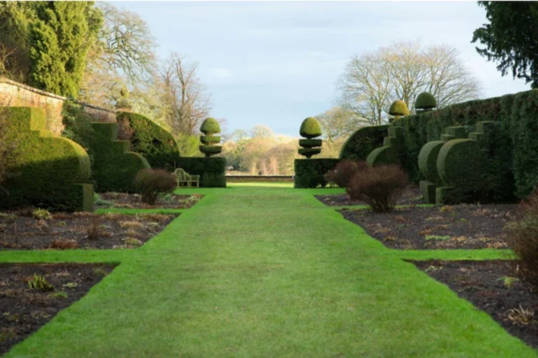 Lawn